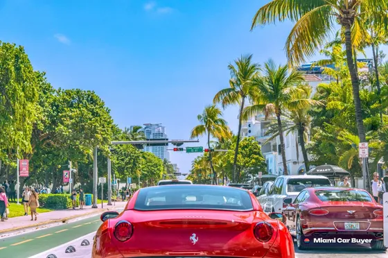 Red Ferrari parked along a Miami Beach palm-lined street