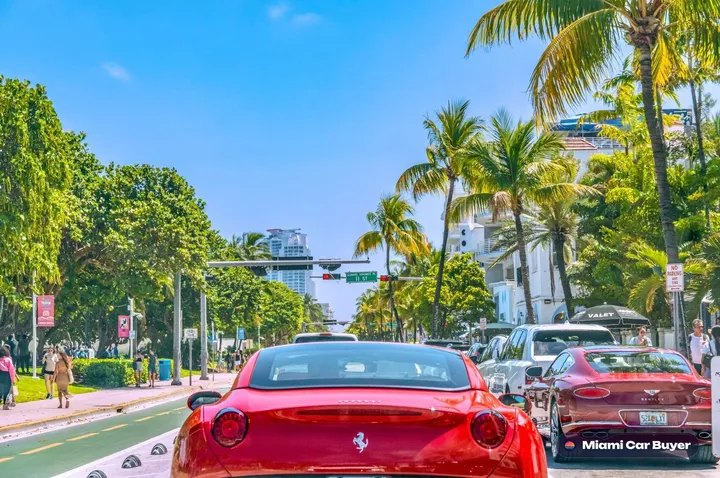 Row of red Ferraris with Miami Beach palm trees, representing the high-value and exotic cars sold through Miami Car Buyer for cash