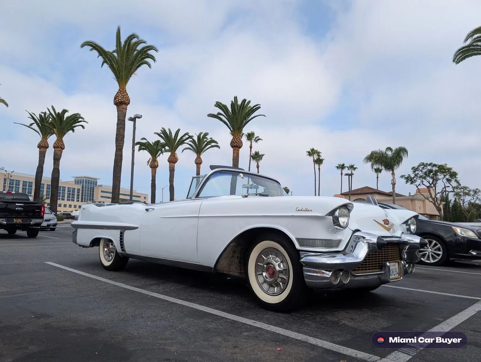 White classic convertible under Miami palms - sell your car today