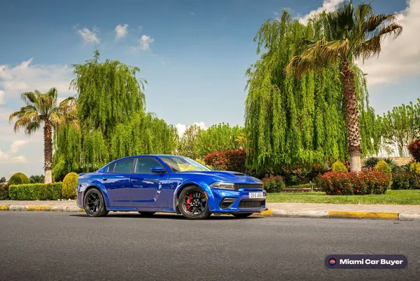 Sedan palm, the kind of car sold for cash across Miami-Dade