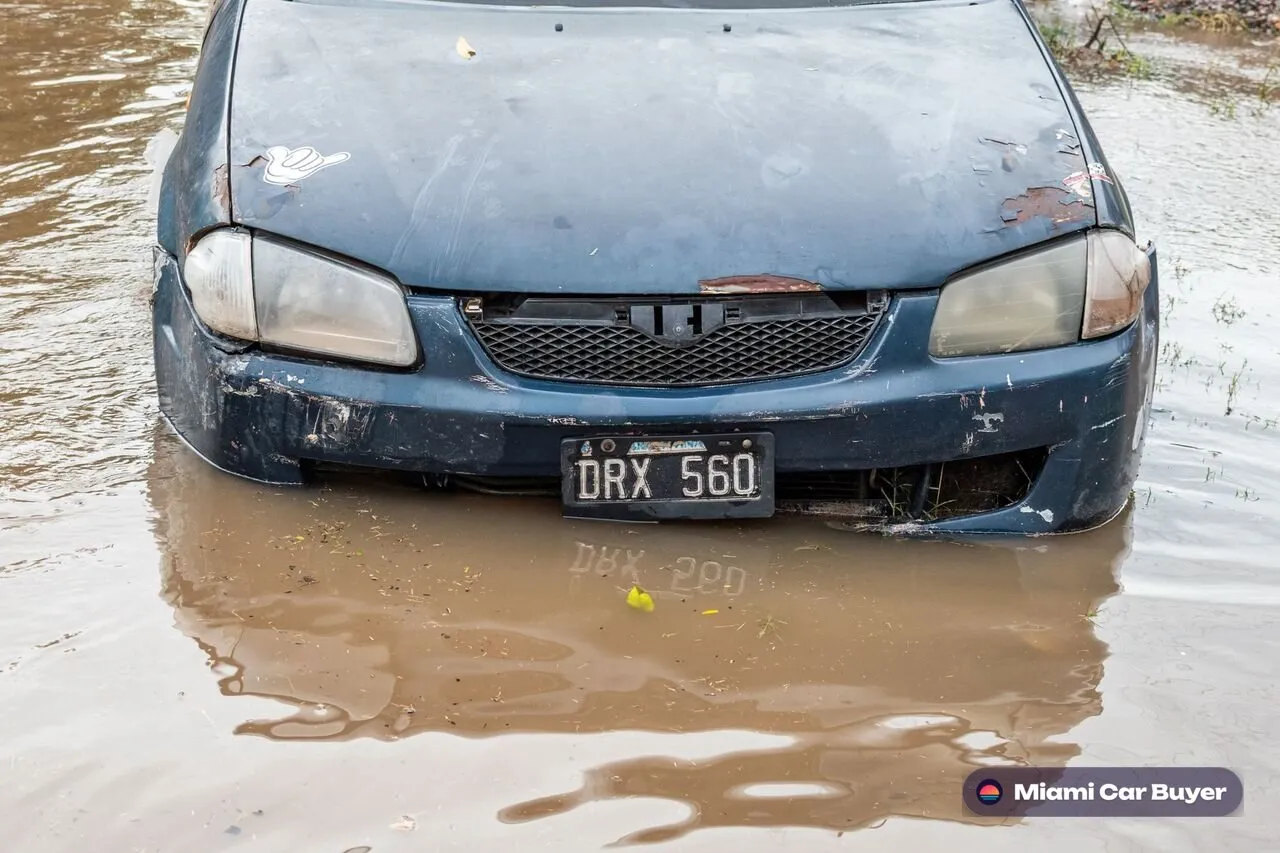 Flooded, wrecked, and storm-hit cars in Miami-Dade